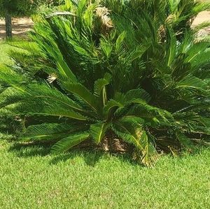 Meet your Posher, Bobby